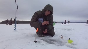 Мормышка. 2 й этап чемпионата РБ по спортивному лову рыбы со льда на мормышку