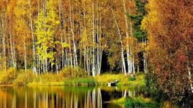 Под маской плюшевого пледа-В Пономарева  ВидеоMailRu