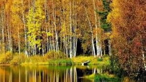 Под маской плюшевого пледа-В Пономарева — Видео@MailRu