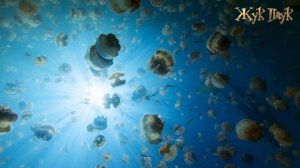 10 УДИВИТЕЛЬНЫХ ЧУДЕС, Которые СОЗДАЛА ПРИРОДА!