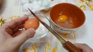 Почему мутный белок у яйца