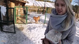 Моя первая собака! Мы купили щенка