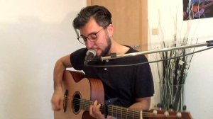 IRON MAIDEN - WASTED YEARS - Acoustic Cover by LexX