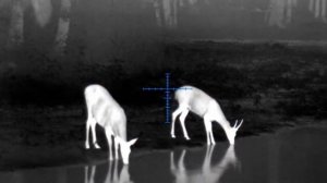 ATN THOR 4 640 2.5-25x