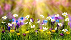 28 мая народный праздник день Пахома. Что нельзя делать. Народные традиции и приметы и суеверия.