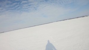 Кабано-Заячья ОХОТА!!! Пошел на зайца. а встретил кабанов!