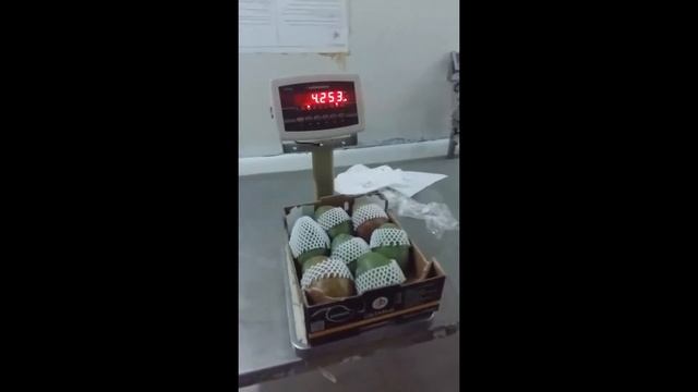Поставка манго из Египта