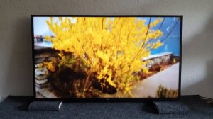 Телевизор 55 дюймов LG 55UP75006LF