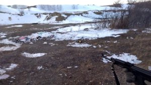 Сайга410 или Сайга308?