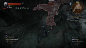 The Witcher 3 Элементаль земли