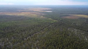 Бешеные северные щуки . Спиннинг выдержал , хариус скучать не дает . часть вторая 😊