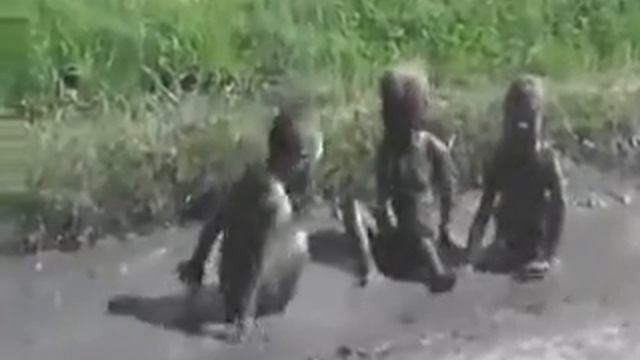 Дети и Смех до упада смотреть онлайн