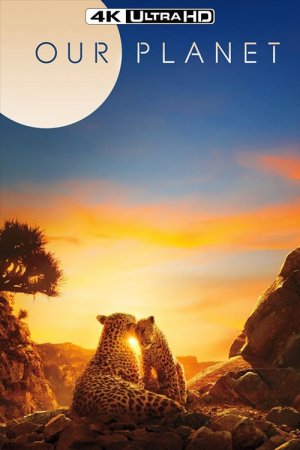 Часть вторая