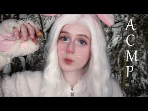 АСМР Зайка замаскирует тебя в зимнем лесу | Ролевая игра | ASMR Roleplay Bunny