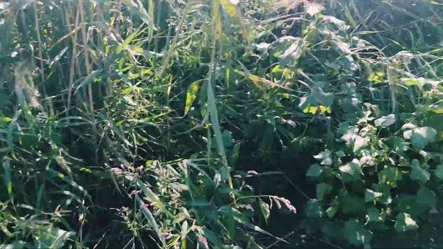 Рыбацкая сеть ДОРОЖКА!!! Обзор!!! Советую всем порыбачить на такую снасть!!!