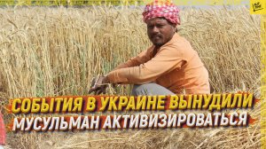 События в Украине вынудили  мусульман активизироваться