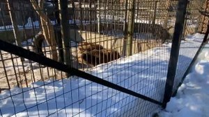 ВЛОГ отель ВСЕ ВКЛЮЧЕНО  Country Resort