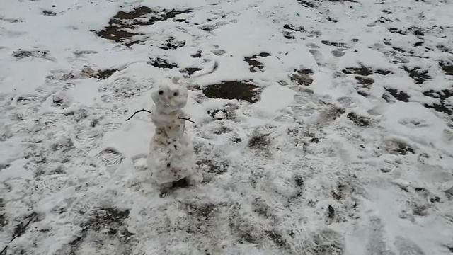 Прогулка с детьми