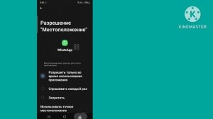 Как исправить ошибку WhatsApp, которая продолжает останавливаться 2024
