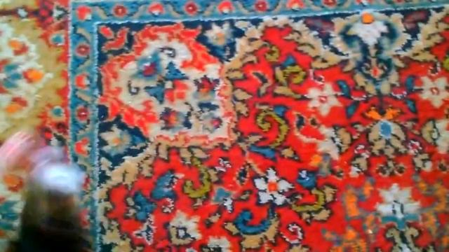 Дрессированный цирковой хорек (на 6 секунде) смотреть онлайн