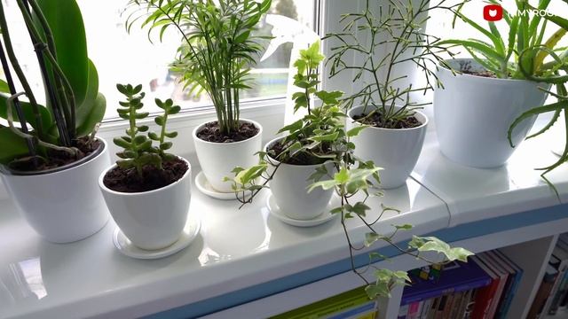 ?Шикарная БЮДЖЕТНАЯ двушка в ТИПОВОМ доме! Особенно крутой БАЛКОН! Рум тур смотреть онлайн