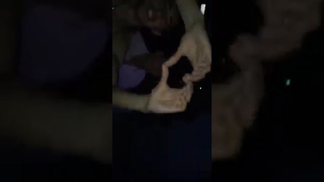 Сардар с днём рождения