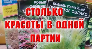 КАК МОЖНО УДЕРЖАТЬСЯ И НЕ КУПИТЬ ЭТО?  Я НЕ ЗНАЮ.