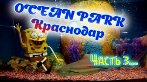 Океанариум OCEAN PARK в Краснодаре, ГУБКА БОБ экспонат