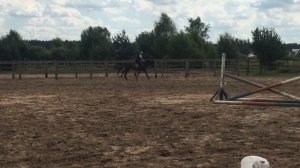 Обучение верховой езде - Конкур Конюшня в Пласкинино
