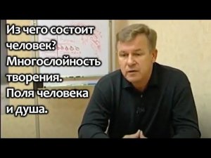 Из чего состоит человек? Поля человека и душа. Многослойность творения.