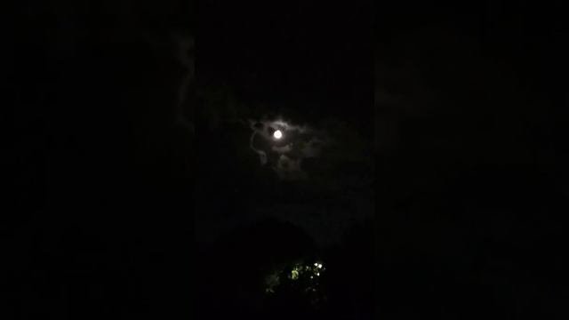 Срочное видео,на что похоже облако?написать в комментариях.Ташкент 09.05.2020