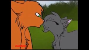 "Коты воители" клип под песню "Знаешь ли ты"