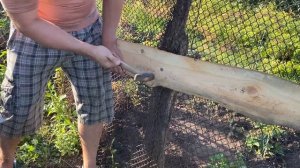 Простой забор в деревне. Строю из того что есть. Каникулы в деревне.