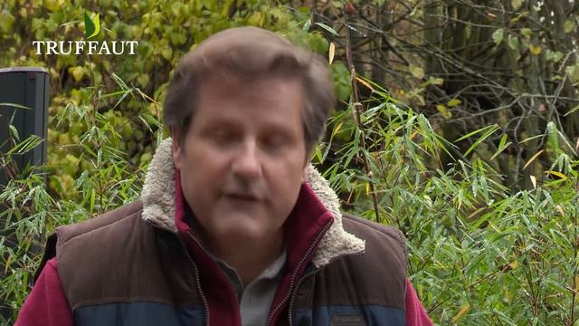 Comment bouturer un rosier ? - Truffaut смотреть онлайн