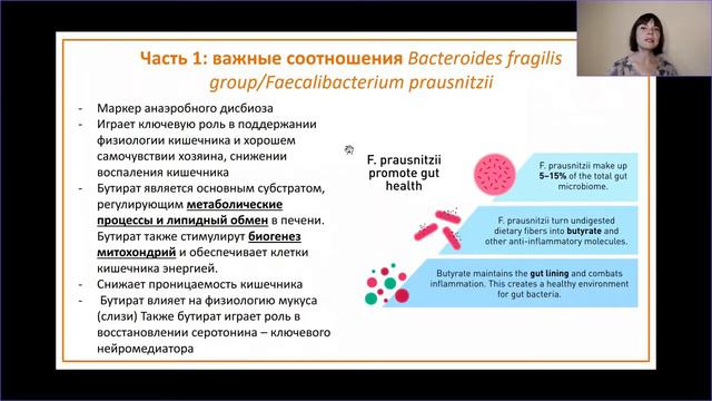 Микробиом кишечника - инновационный анализ, "Немецкий Диагностический центр Св. Павла"