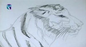 Уроки рисования (# 50) карандашом. Рисуем животных. Часть 2