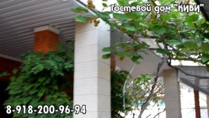 Гостевой дом "КИВИ", Лазаревское, Сочи