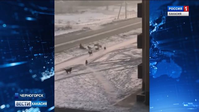 Глава Хакасии встретился с жителями Черногорска. 21.01.2019 смотреть онлайн