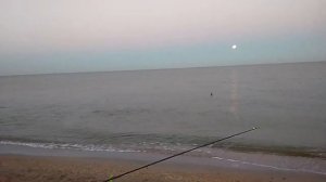 Должанская коса. Море. Отдых. Рыбалка. Пеленгас. Часть 2 я.