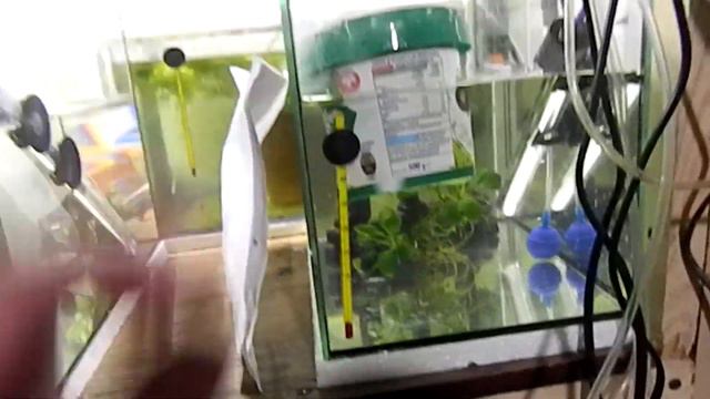 Внеплановое разведение. смотреть онлайн