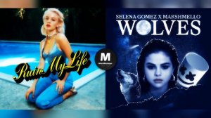 Wolves Ruin My Life - Marshmello & Zara Larsson (Mashup)