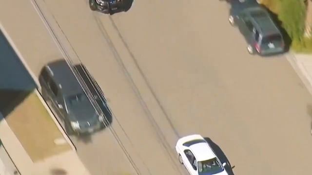 Полиция бодро гналась за подозреваемым на машине, но в конце все-таки спустили собаку смотреть онлайн