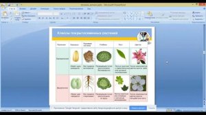 ОГЭ по биологии 9 класс.  Занятие 12.  Царство растения. Генеративные органы.