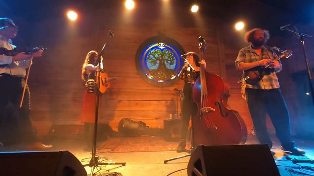 Mama Said String Band at The Burl in Lexington KY on 312024