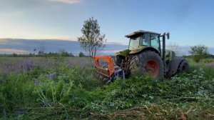Трактор CLAAS ATLES 946 с мульчером TMC CANCELA расчистка заросшего поля