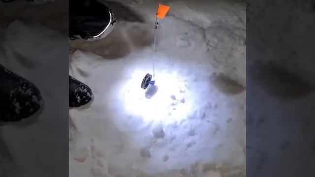 рыбалка на р. Ишим СКО Петропавловск, выехали на налима. смотреть онлайн