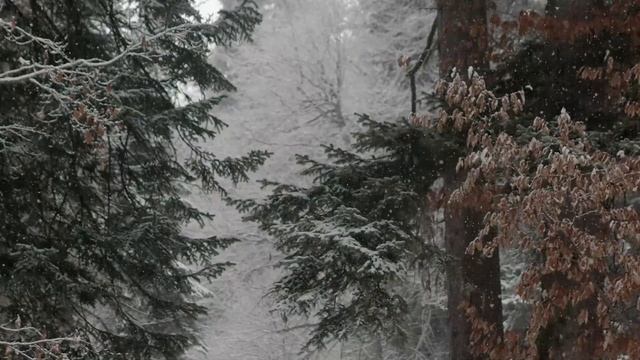 НЕ РАБОТАЙТЕ В ТРИФОНОВ ДЕНЬ, 28 ДЕКАБРЯ! смотреть онлайн