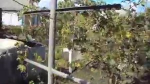 Арки для винограда