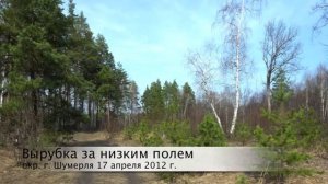 Голоса птиц Певчий дрозд, зарянка, пухляк 17 апреля 2012 г.