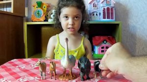 Изучаем животных. На русском. Выпуск 2